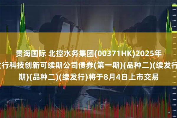 贵海国际 北控水务集团(00371HK)2025年面向专业投资者公开发行科技创新可续期公司债券(第一期)(品种二)(续发行)将于8月4日上市交易