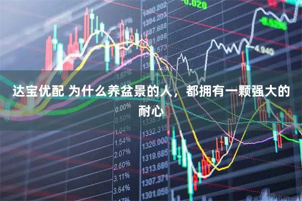 达宝优配 为什么养盆景的人,都拥有一颗强大的耐心